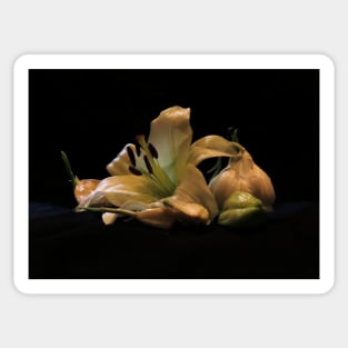 Garlic and Lilies - Baroque Inspired Dark Still Life Photo Sticker